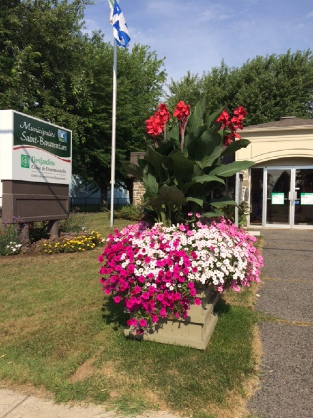 Fleurs devant le bureau municipal